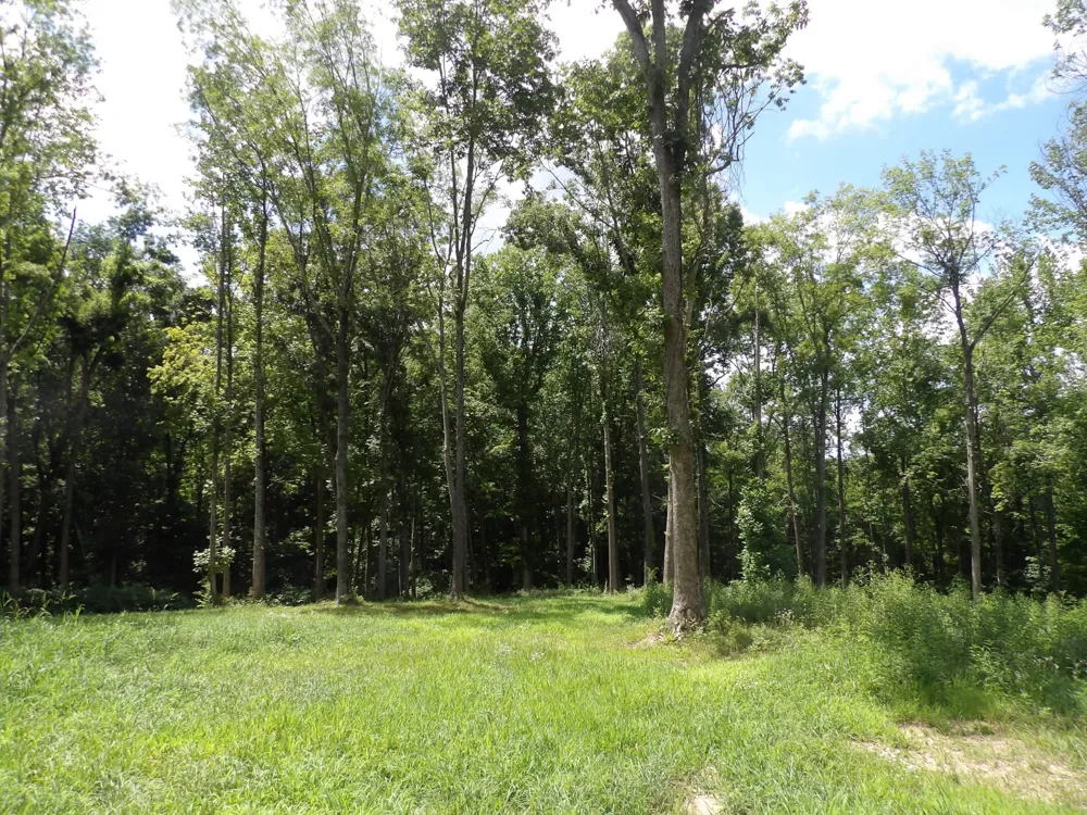 150 W John Davis Rd Westmoreland, TN 37186