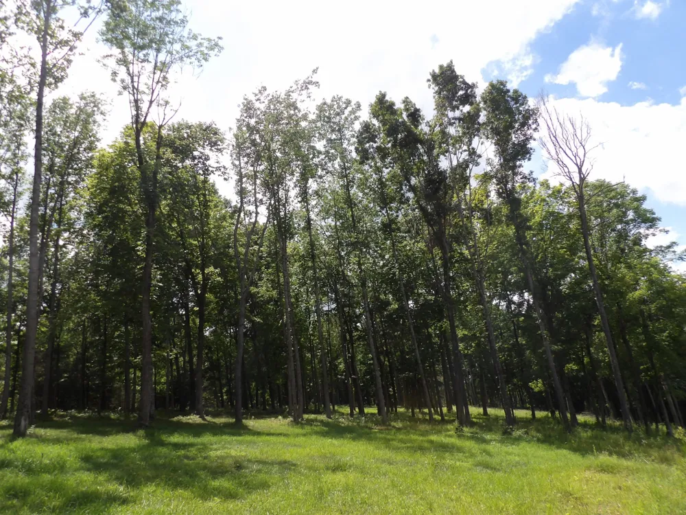 150 W John Davis Rd Westmoreland, TN 37186