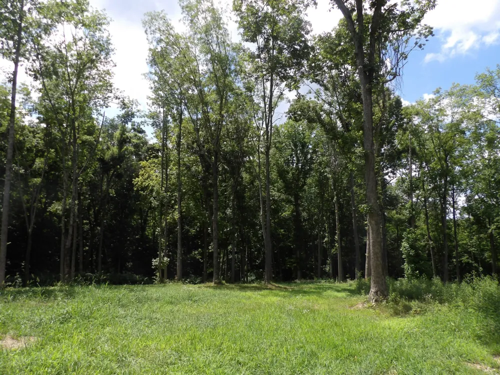 150 W John Davis Rd Westmoreland, TN 37186