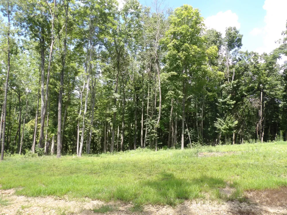 150 W John Davis Rd Westmoreland, TN 37186
