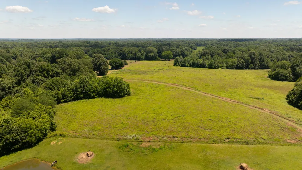 710 Porters Gap Rd Ripley, TN 38063