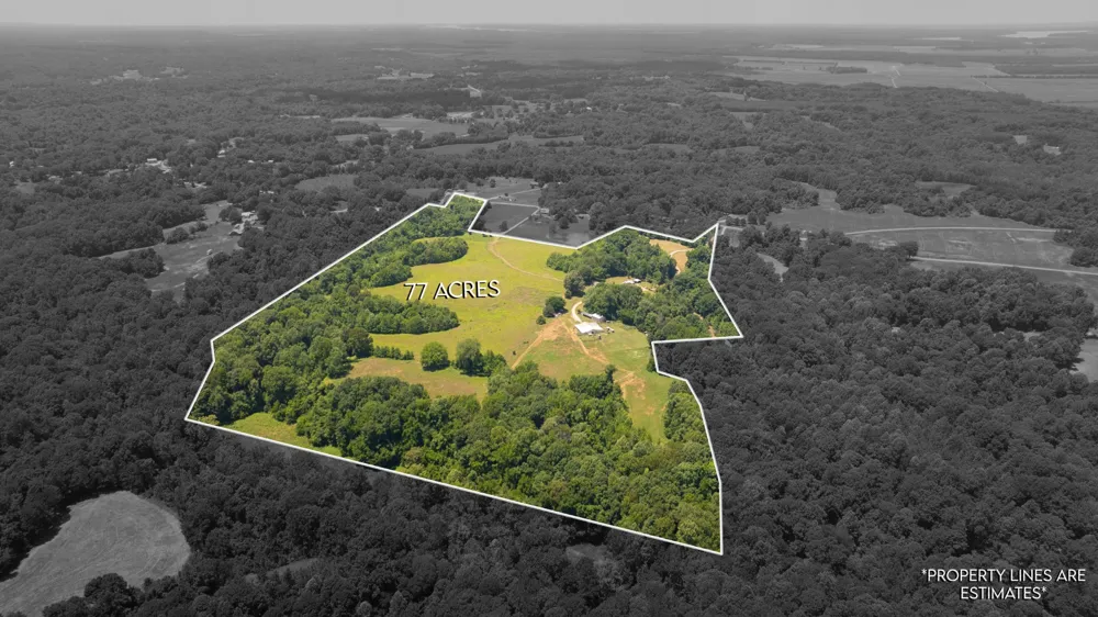 710 Porters Gap Rd Ripley, TN 38063