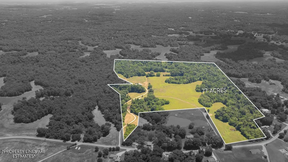 710 Porters Gap Rd Ripley, TN 38063