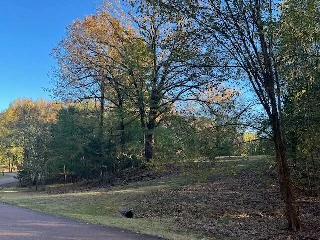 9021 E PLANTERS VIEW CV Memphis, TN 38133