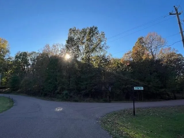 9021 E PLANTERS VIEW CV Memphis, TN 38133