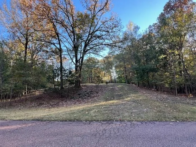 9021 E PLANTERS VIEW CV Memphis, TN 38133