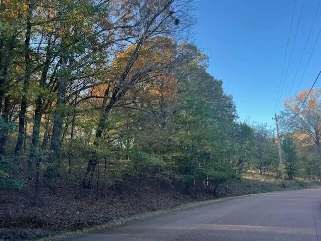 9021 E PLANTERS VIEW CV Memphis, TN 38133