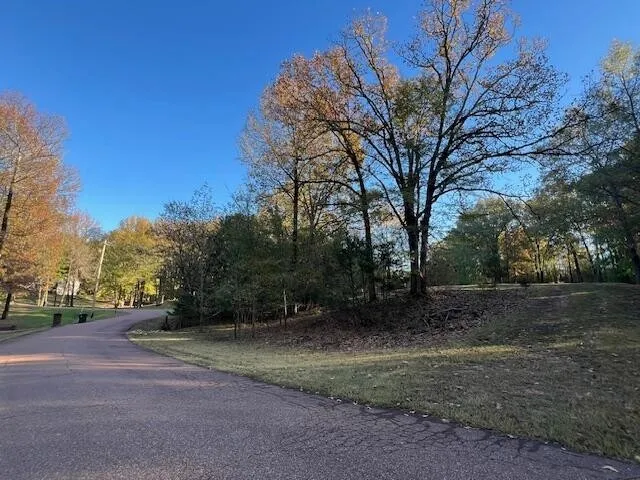9021 E PLANTERS VIEW CV Memphis, TN 38133