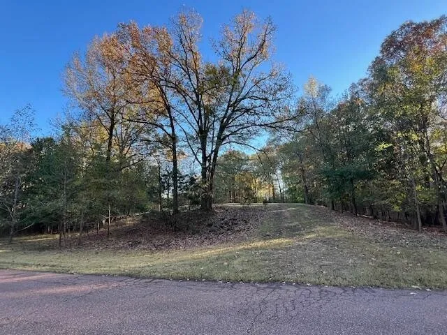 9021 E PLANTERS VIEW CV Memphis, TN 38133