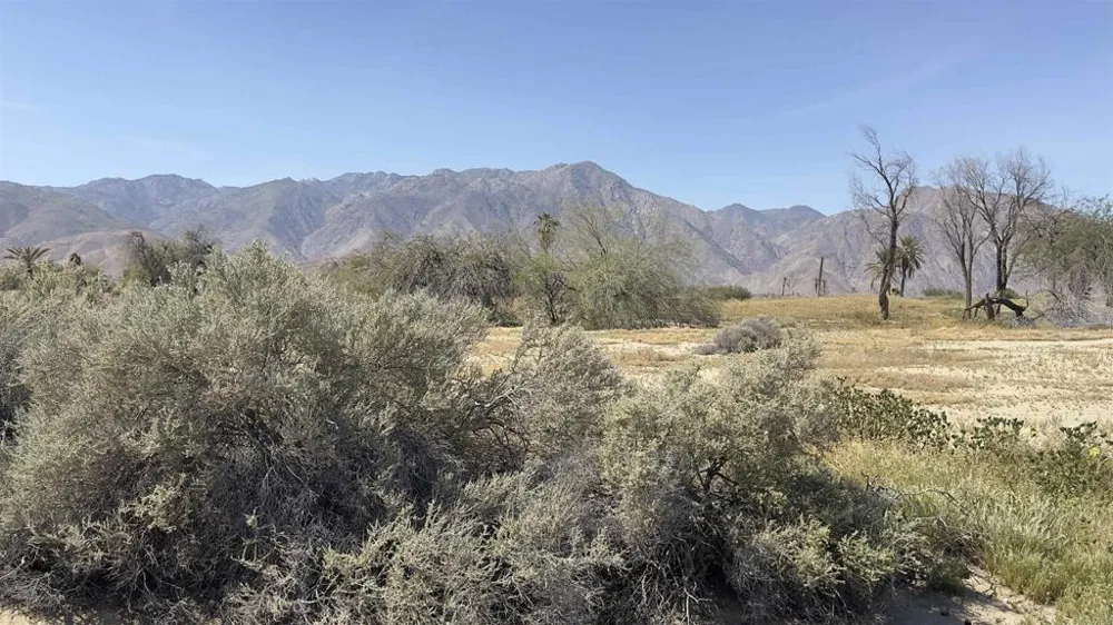 Foursome Drive Borrego Springs, CA 92004