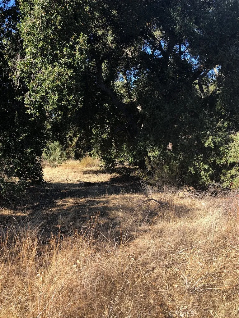 Red Mountain Road Hemet, CA 92544