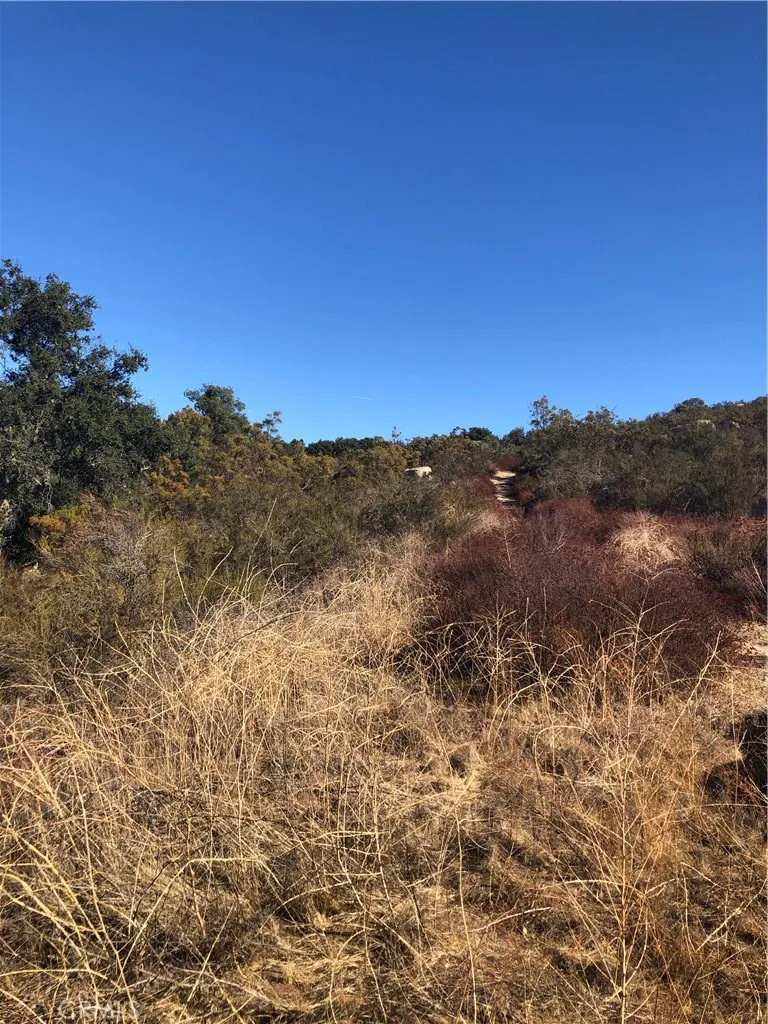 Red Mountain Road Hemet, CA 92544