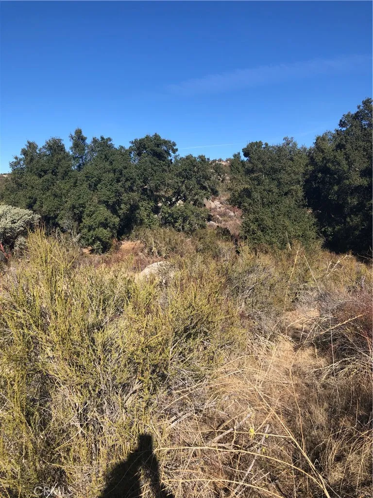 Red Mountain Road Hemet, CA 92544