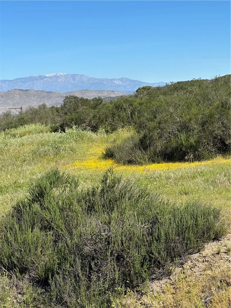 Red Mountain Road Hemet, CA 92544