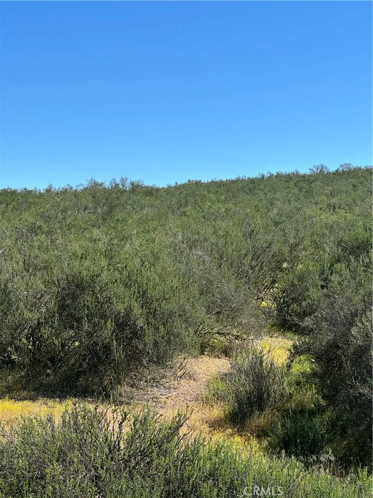 Red Mountain Road Hemet, CA 92544