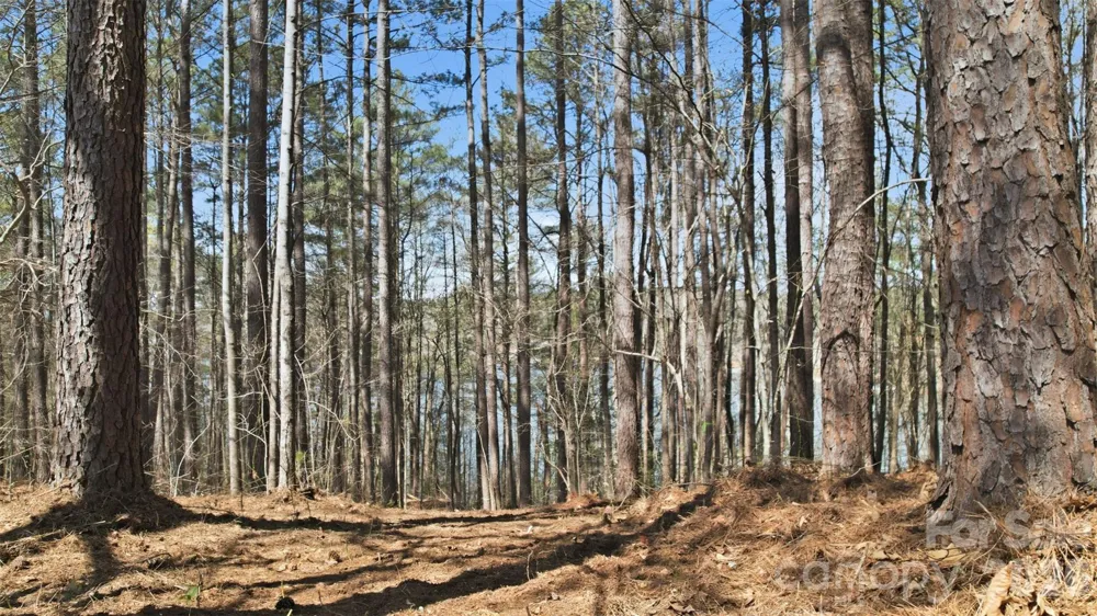 211 Ridge Top Drive #11 Connelly Springs, NC 28612