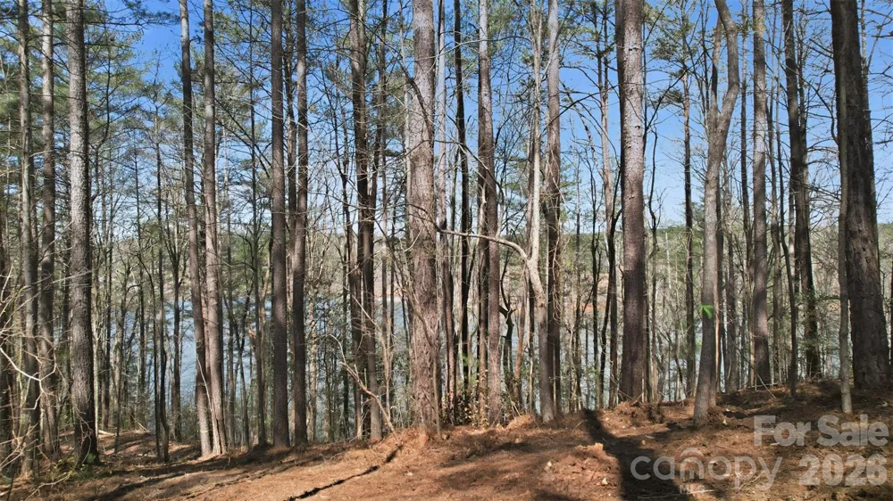 211 Ridge Top Drive #11 Connelly Springs, NC 28612