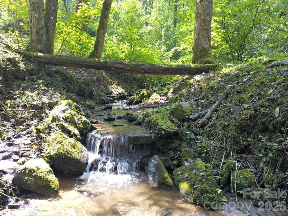 0 Mountain Forest Estates Road Sylva, NC 28779