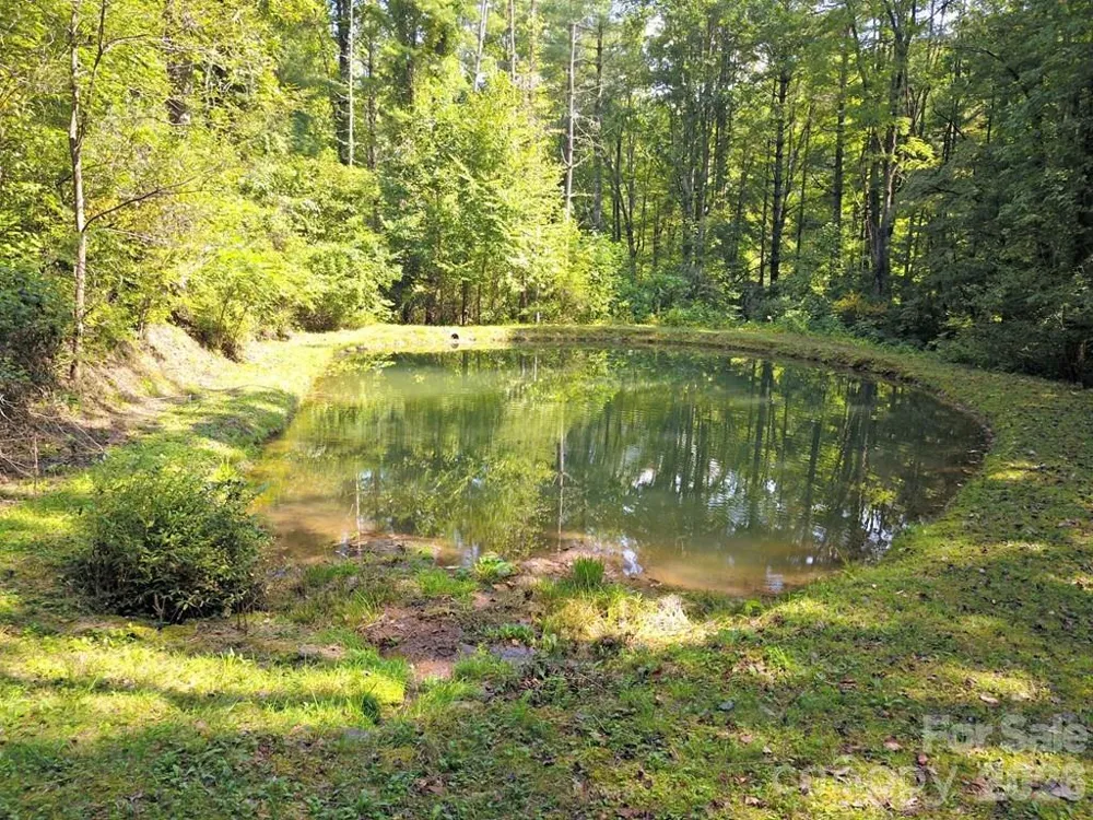 0 Mountain Forest Estates Road Sylva, NC 28779