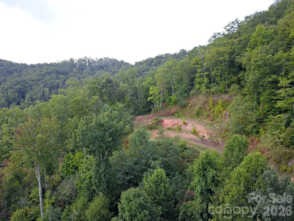 0 Mountain Forest Estates Road Sylva, NC 28779