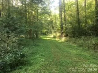 0 Mountain Forest Estates Road Sylva, NC 28779