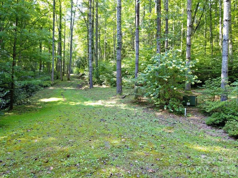 0 Mountain Forest Estates Road Sylva, NC 28779