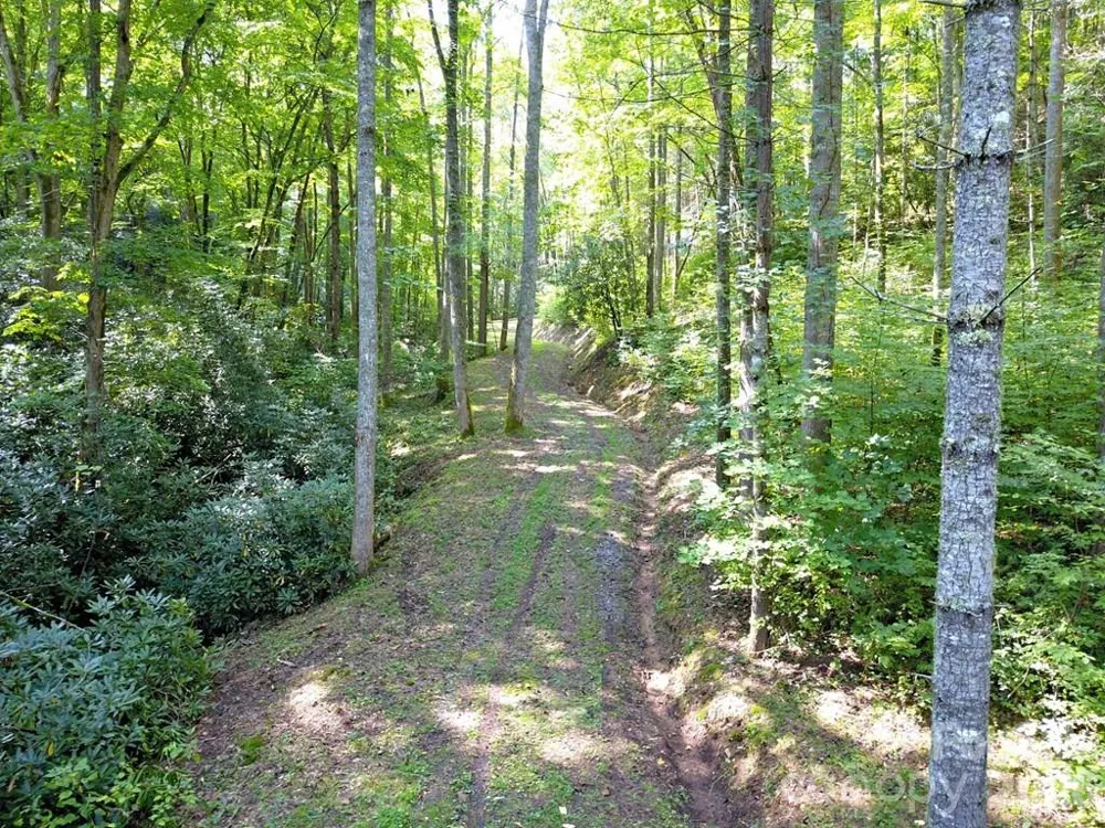 0 Mountain Forest Estates Road Sylva, NC 28779