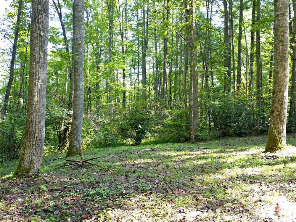 0 Mountain Forest Estates Road Sylva, NC 28779