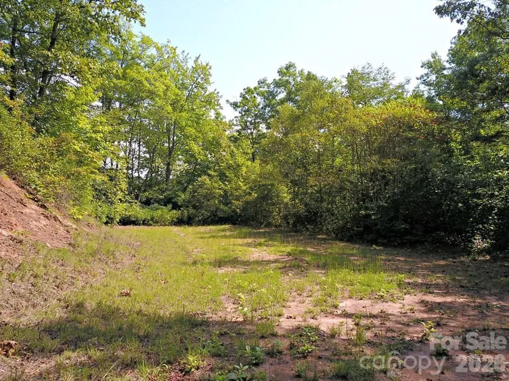 0 Mountain Forest Estates Road Sylva, NC 28779