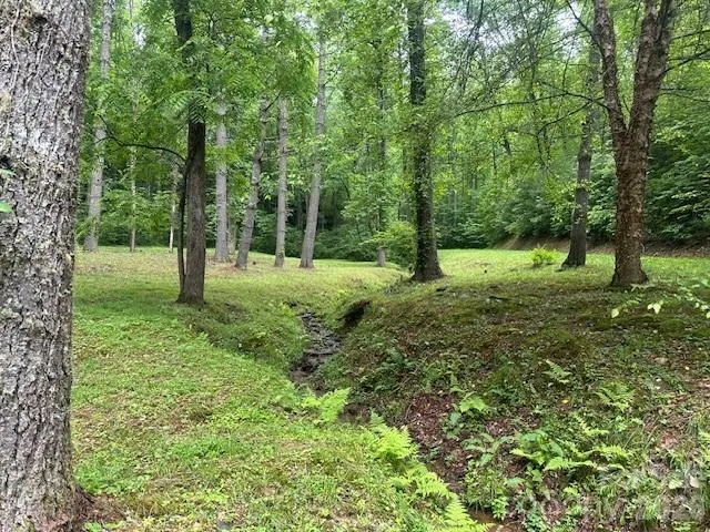 0 Mountain Forest Estates Road Sylva, NC 28779