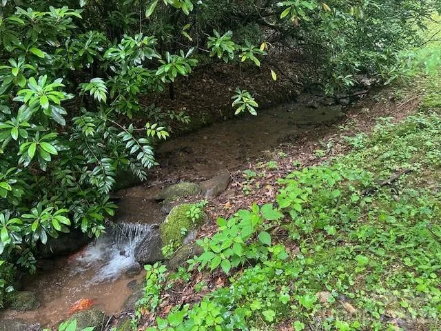0 Mountain Forest Estates Road Sylva, NC 28779