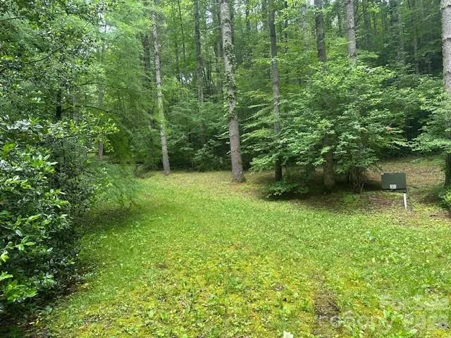 0 Mountain Forest Estates Road Sylva, NC 28779