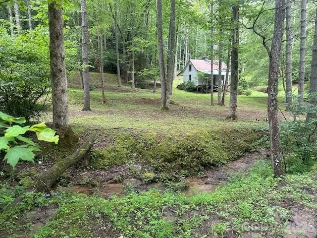 0 Mountain Forest Estates Road Sylva, NC 28779