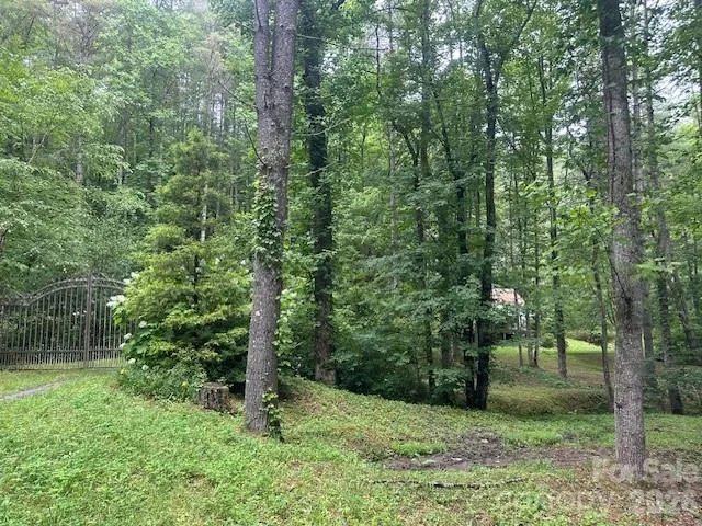 0 Mountain Forest Estates Road Sylva, NC 28779