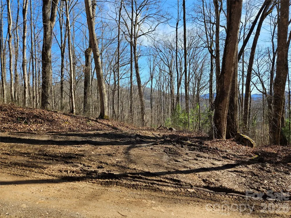 262 Si Knob Road Cullowhee, NC 28723