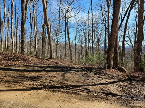 262 Si Knob Road