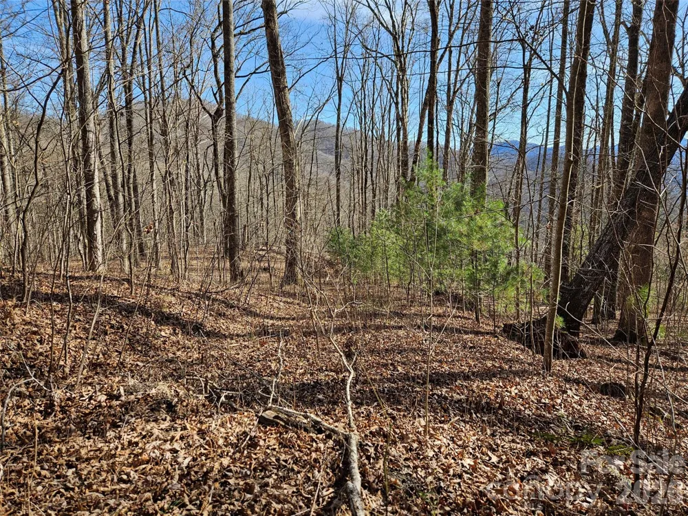 262 Si Knob Road Cullowhee, NC 28723