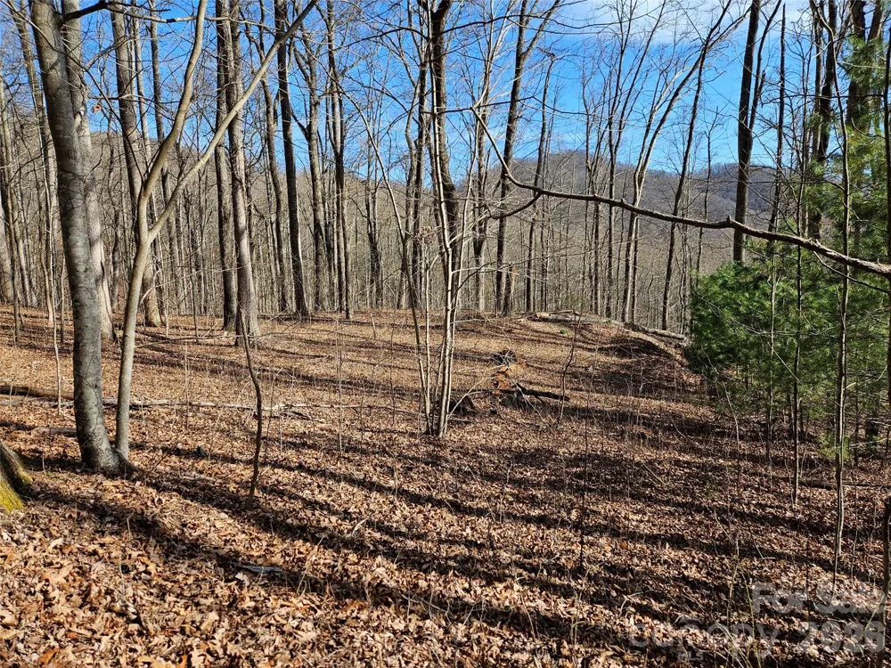 262 Si Knob Road Cullowhee, NC 28723