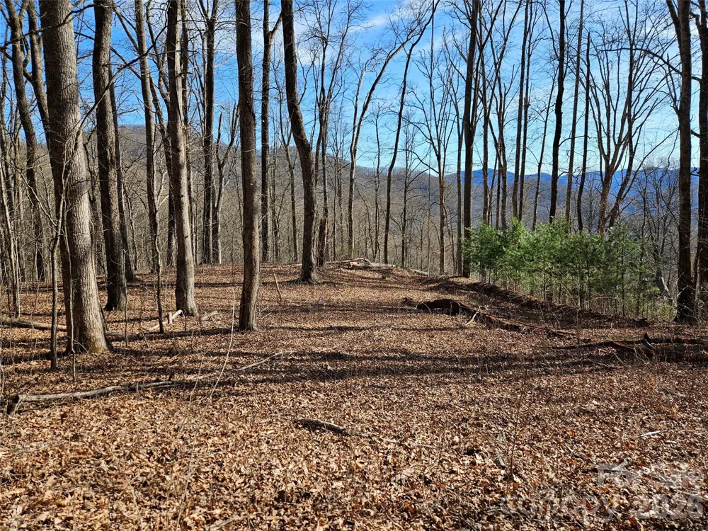 262 Si Knob Road Cullowhee, NC 28723