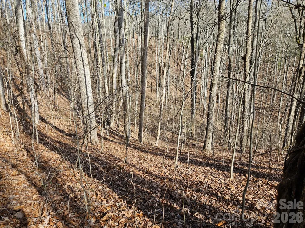 262 Si Knob Road Cullowhee, NC 28723