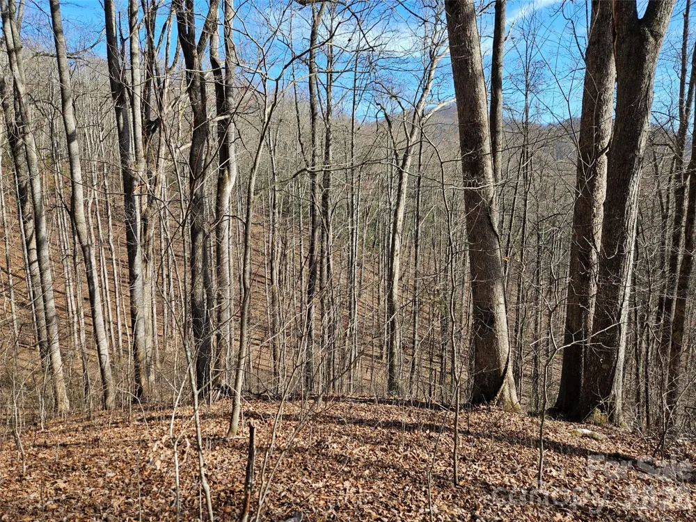 262 Si Knob Road Cullowhee, NC 28723