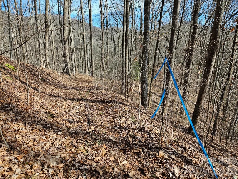 262 Si Knob Road Cullowhee, NC 28723