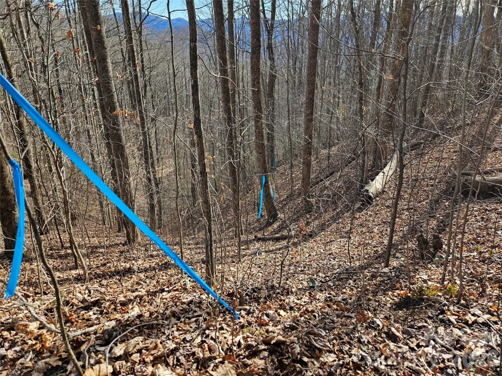 262 Si Knob Road Cullowhee, NC 28723
