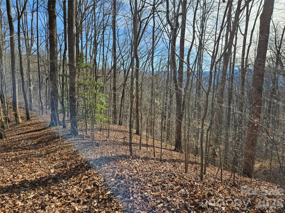 262 Si Knob Road Cullowhee, NC 28723