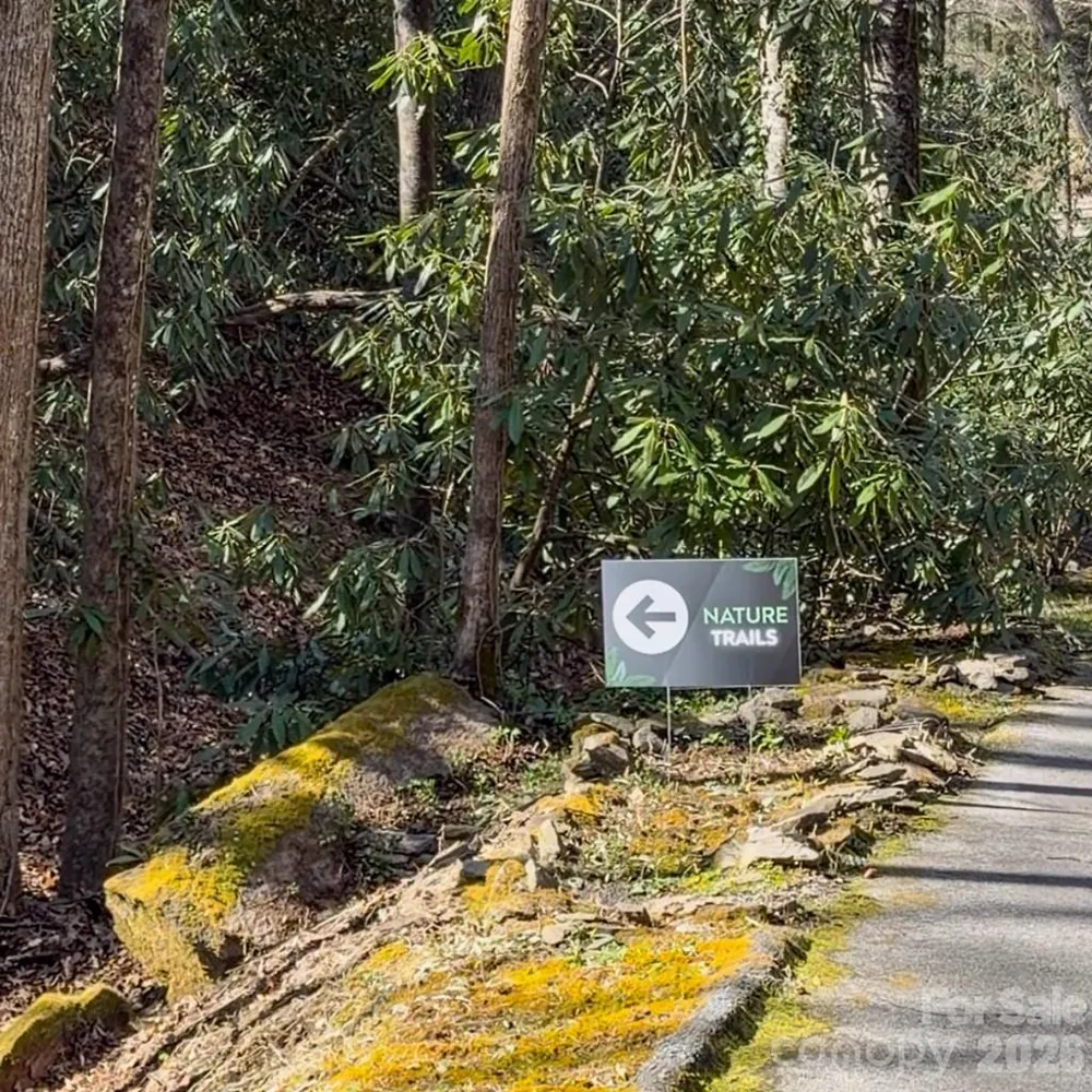 1270 Glen Cannon Drive Pisgah Forest, NC 28768