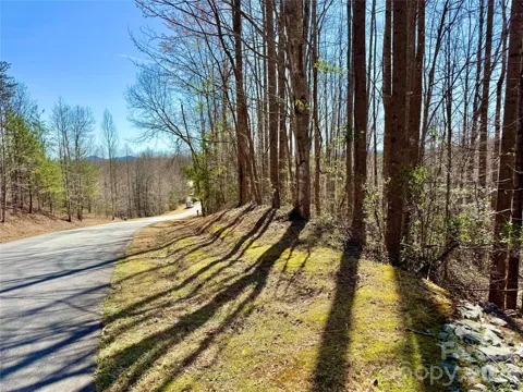 Lot 42, Round Mountain Parkway #42