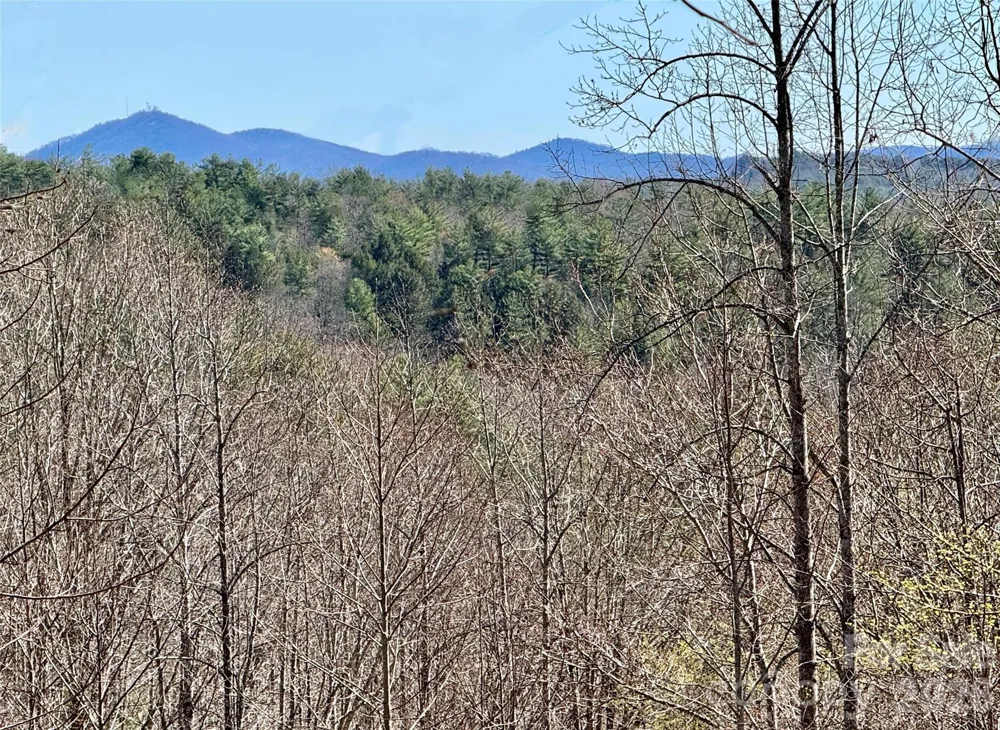 Lot 42, Round Mountain Parkway #42 Lenoir, NC 28645