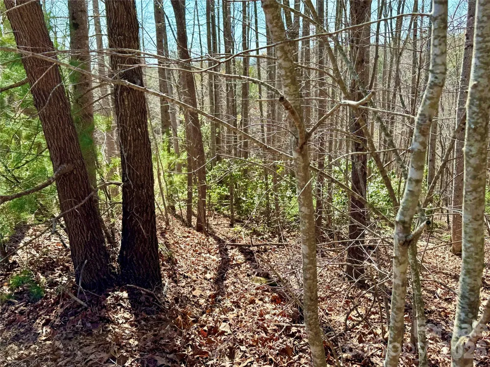 Lot 42, Round Mountain Parkway #42 Lenoir, NC 28645