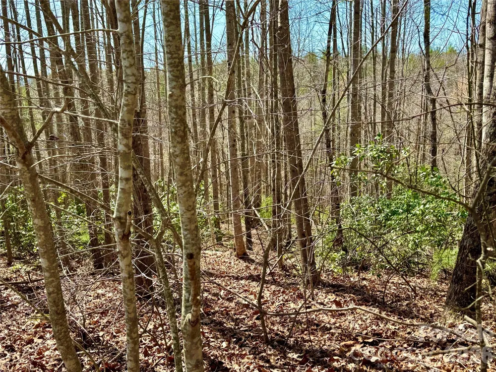 Lot 42, Round Mountain Parkway #42 Lenoir, NC 28645