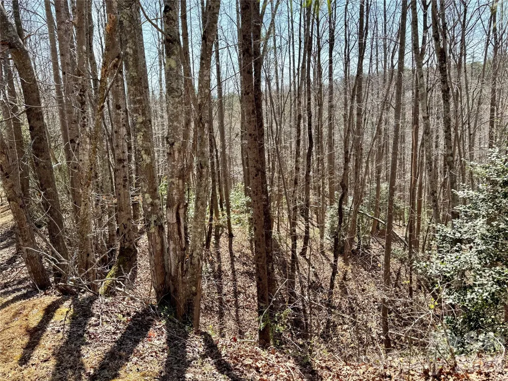 Lot 42, Round Mountain Parkway #42 Lenoir, NC 28645